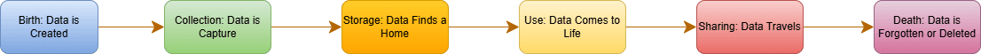 Data Life Cycle